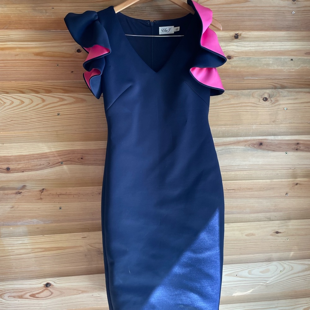 Eliza Navy and Pink dress